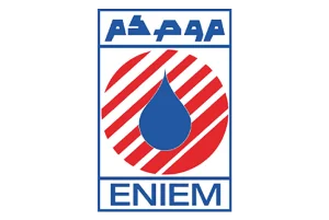 Логотип Eniem